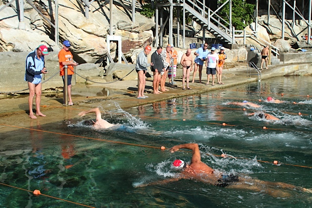 South Maroubra Dolphins